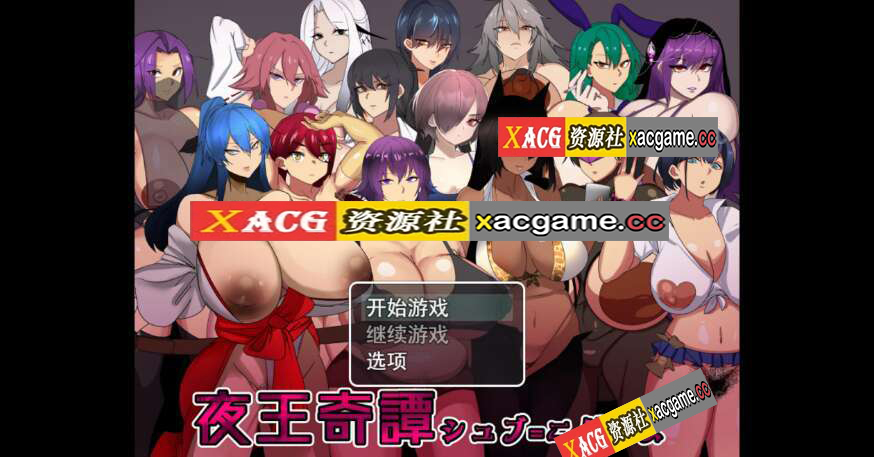 【电脑+安卓+IOS/日系RPG/AI汉化/2D】夜王奇谭 1.0XACG版【1.17g】